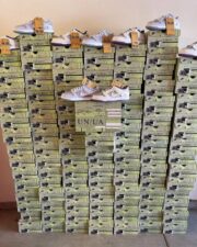 Nike Sneakers Pallet