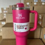 Stanley Starbucks Cup