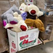 Teddy's pallets - Image 5
