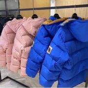 THE NORTH FACE winter Jackets Pallets