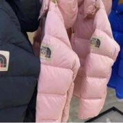 THE NORTH FACE winter Jackets Pallets - Image 4